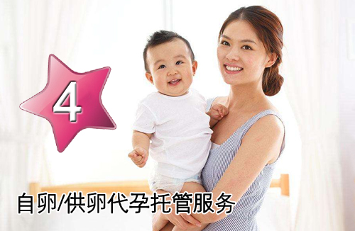 自卵/供卵助孕托管服务套餐四