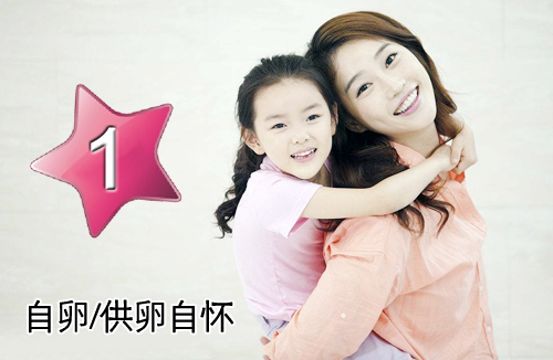 自卵/供卵自怀套餐一