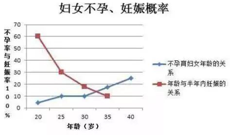 代妈不孕、妊娠概率