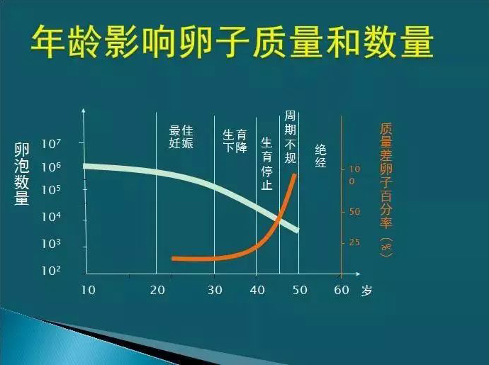 年龄影响卵子质量和数量