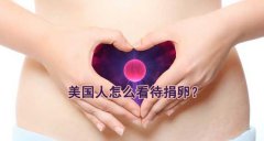 美国人怎么看待代妈？