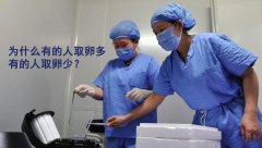 为什么有的人取卵多，有的人却很少？