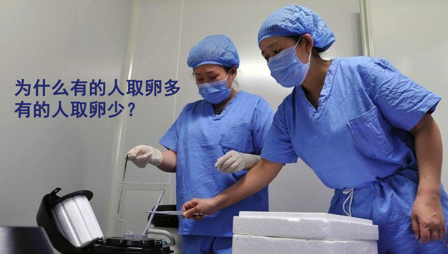 为什么有的人取卵多，有的人却很少？