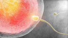 导致不孕不育的三大因素