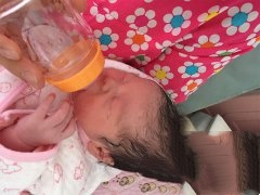 多囊卵巢造就不孕 试管婴儿来送子