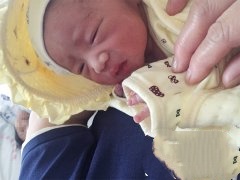 恭喜丁克家族成功助孕