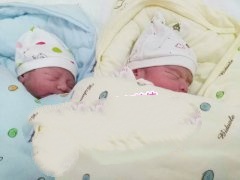 广州N先生喜获双胞胎男宝