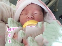 七斤八两的胖小子总算是在富孕助孕公司圆梦啦