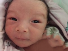 染色体易位代妈成功植入两个健康胚胎