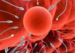 年龄越大生育能力越低