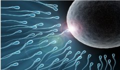 胚胎移植后在生活上须注意哪些