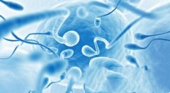 取的卵子多成功率就高吗